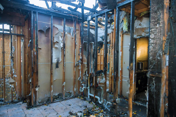 Professional Fire Damage Assessment technician working in Marshall, IL